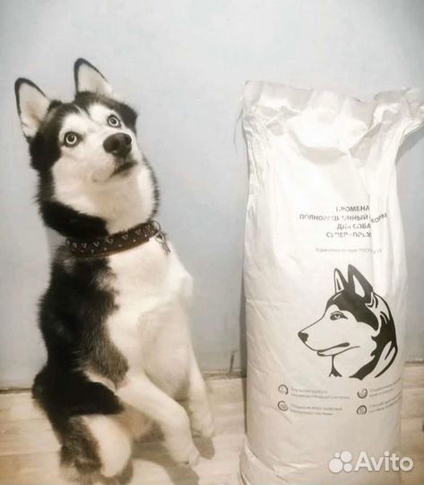 Сухой корм для щенков Променад