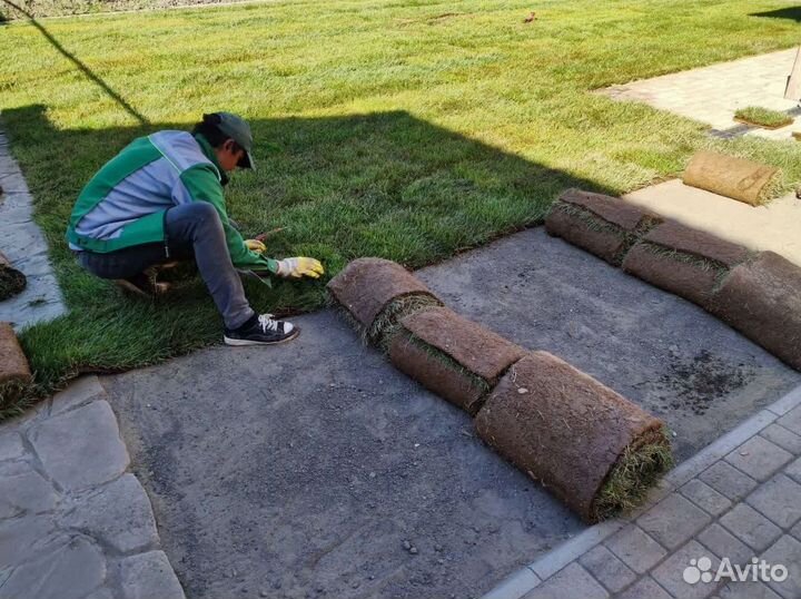 Купить рулонный газон