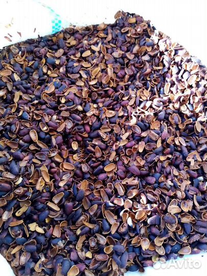 Шелуха кедровой шишки и скорлупа кедрового ореха