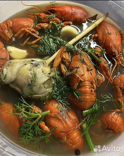 Раки живые/вареные