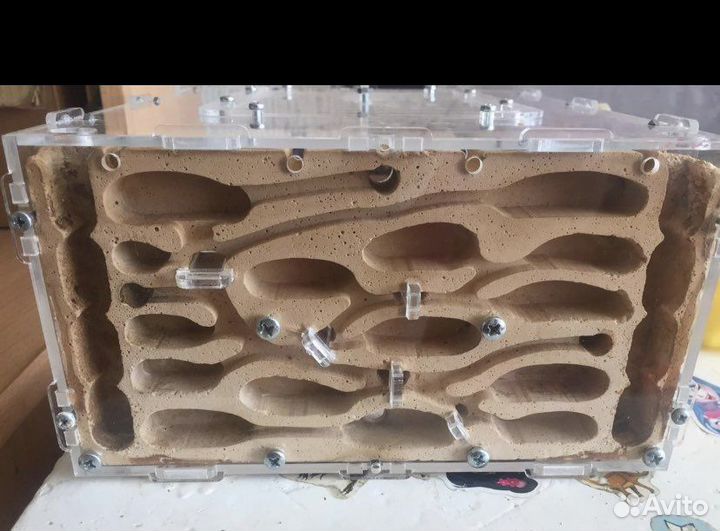 Формикарий большой