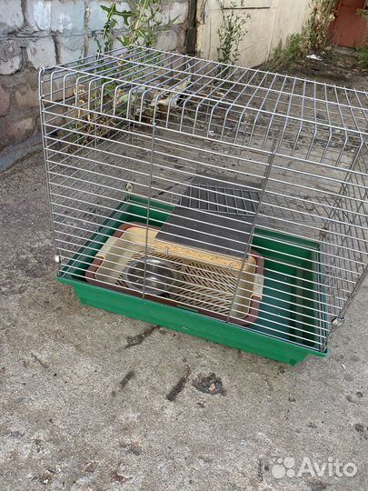 Большая клетка