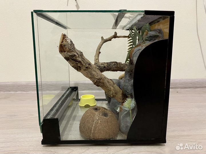 Террариум Regalis-terra 30x30х30 с оформлением