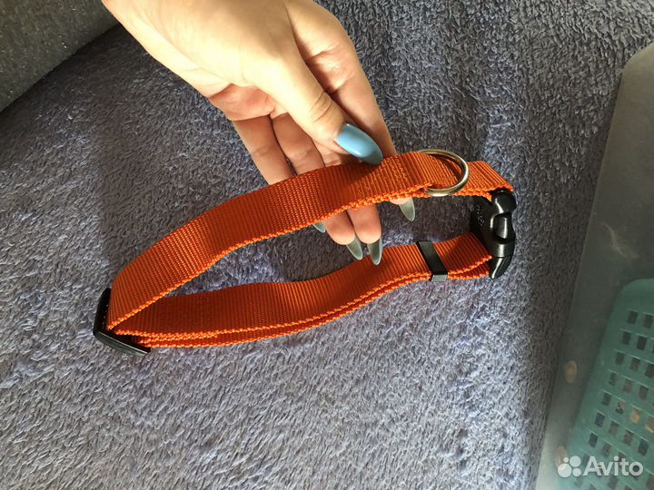 Товары для животных