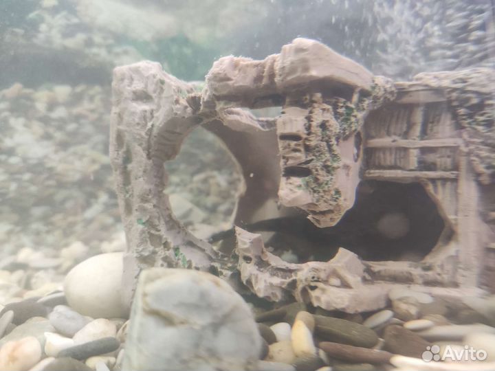 Аквариум с рыбками