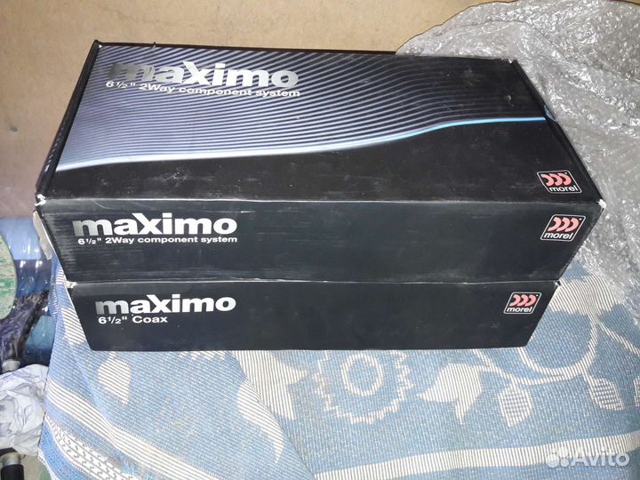 Динамики morel