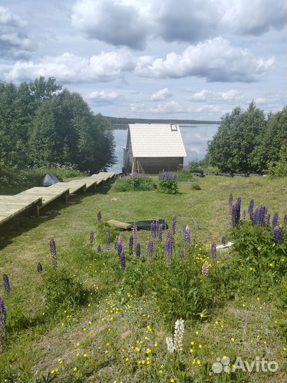 Отдых в Карелии