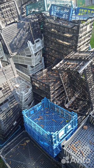 Пластиковые ящики бу