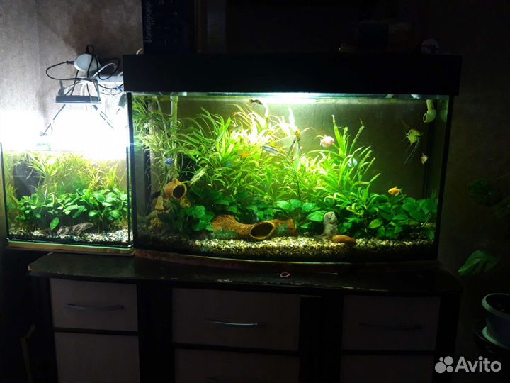 Аквариум