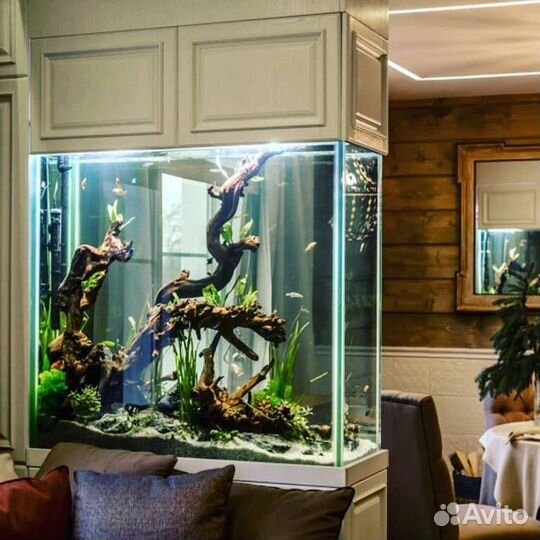 Террариум, Аквариаум. Собственное производство