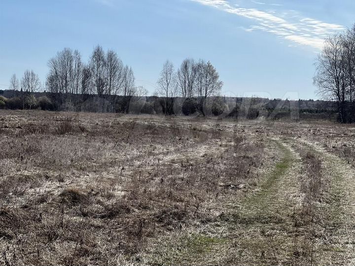 Участок 6 га (СНТ, ДНП)