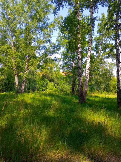 Участок 10 сот. (СНТ, ДНП)