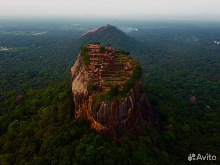 Тур на Sri-Lanka на 7 ночей за двоих чел