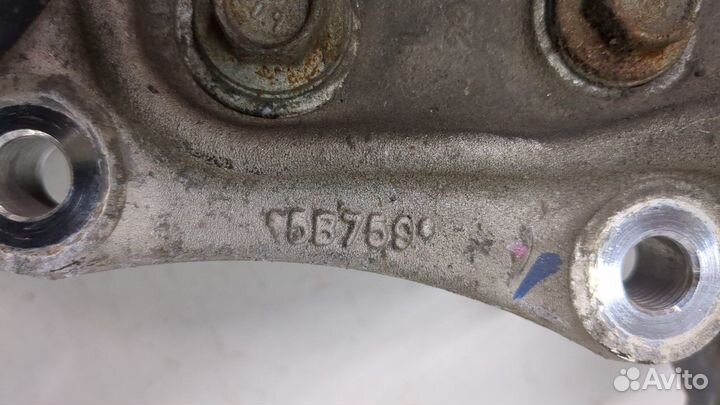 Ступица (кулак, цапфа) Ford Edge, 2020