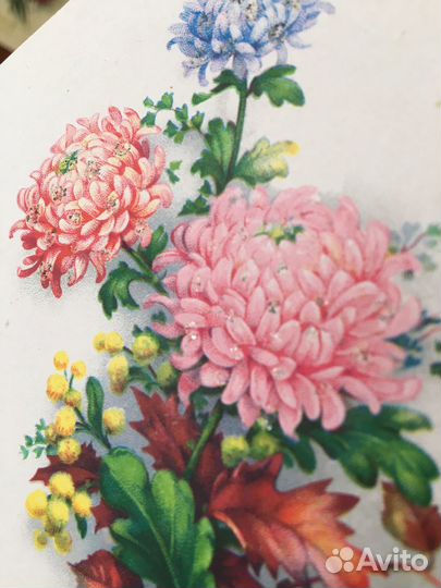 Открытки из СССР цветы 60 годов