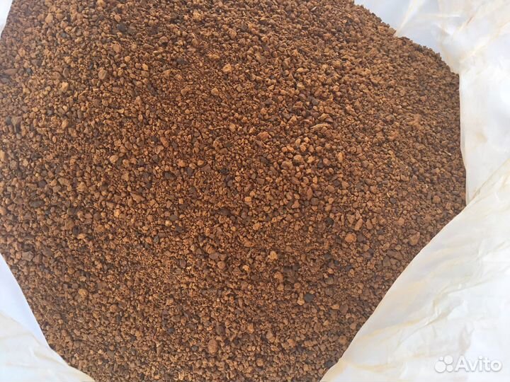 Чага (Берёзовый гриб)