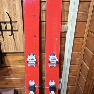 Горные лыжи