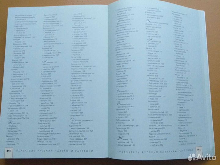 Комнатные растения