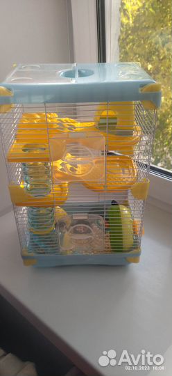 Клетка с джунгарскими хомяками