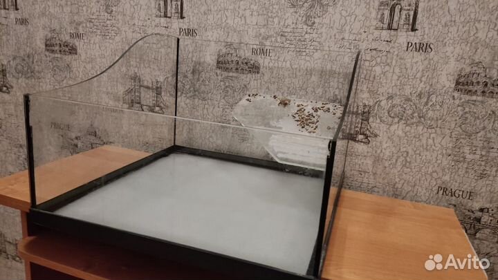 Террариум для черепахи