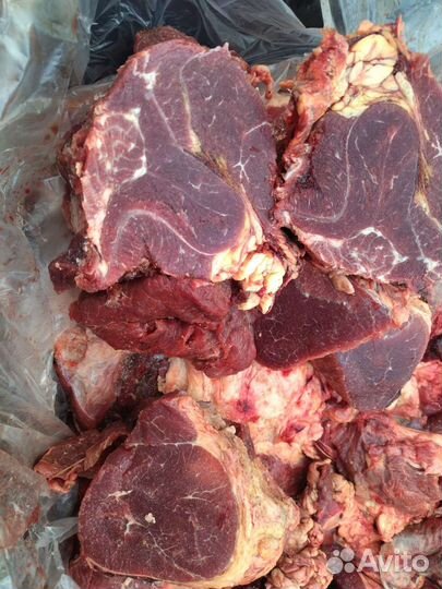 Мясо говядина для собак