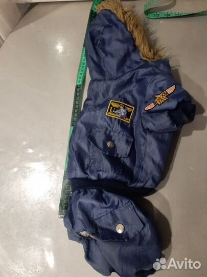 Зимний комбинезон для таксы