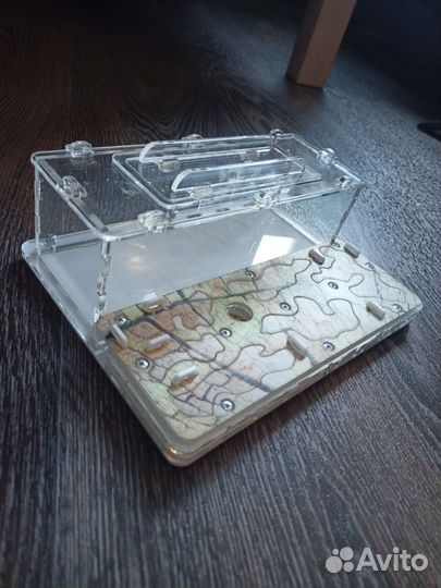 Муравьиная ферма без муравьев