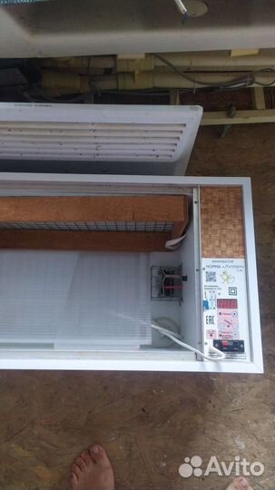 Инкубатор для яиц автоматический бу