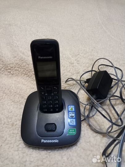 Panasonic