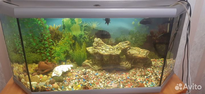 Аквариум 200 литров