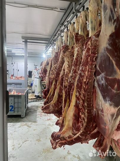 Продажа доли в мясопереработке