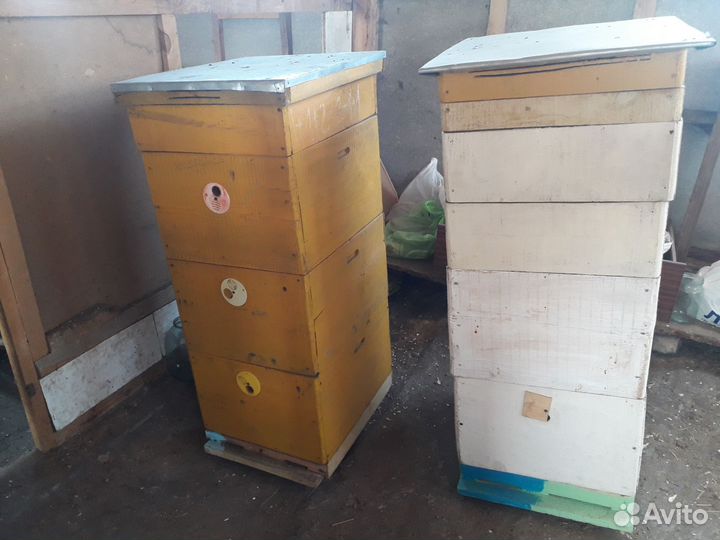 Улей для пчел бу