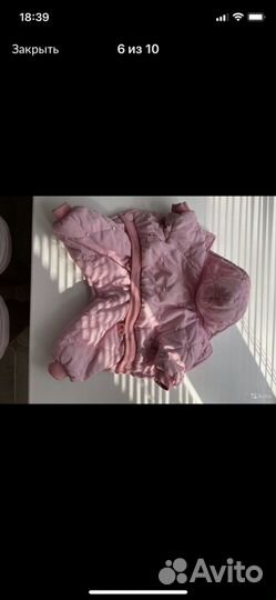 Одежда для собаки, игрушки