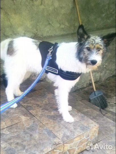 Отличные малыши в самые лучшие руки