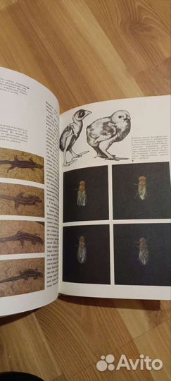 Книга Мир эволюции А.Яблоков