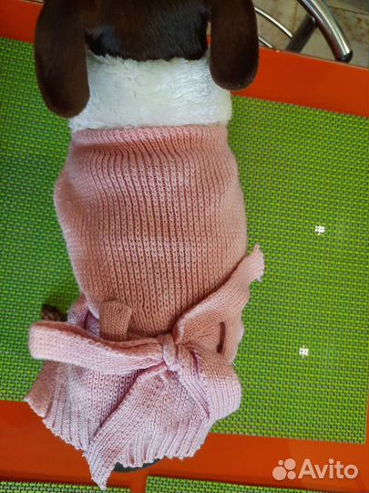 Платье для маленькой собачки