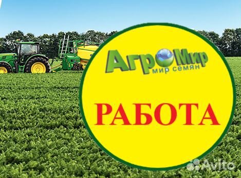 Начальник службы безопасности