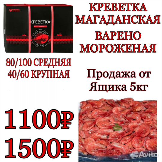 Креветка магаданская 60/80