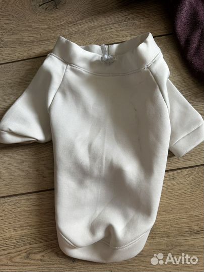 Кофты для собак