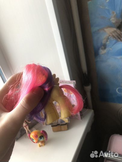 Лот флаттершай