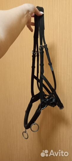 Амуниция для конного спорта