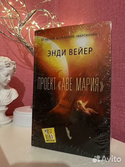 Проект аве мария вейер э