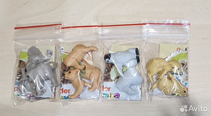 Киндер натунс 2024, 2025