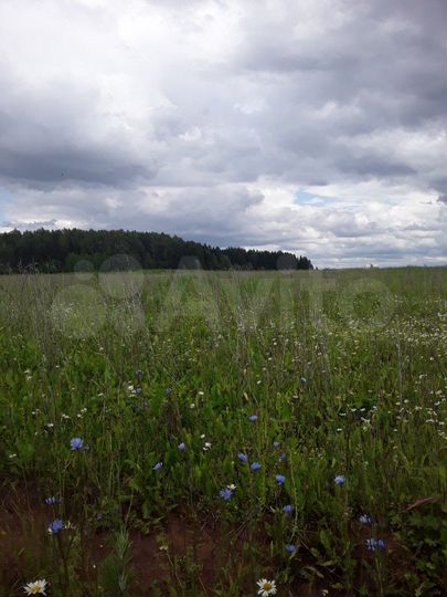 Участок 15 сот. (ИЖС)