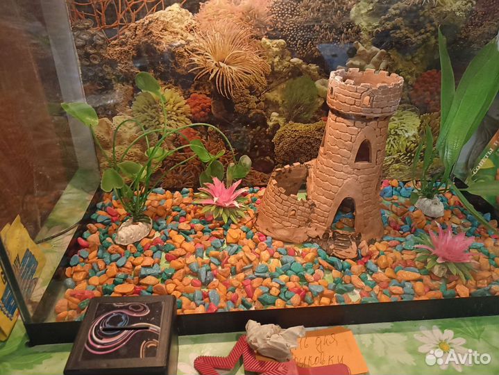 Аквариум 65 литров