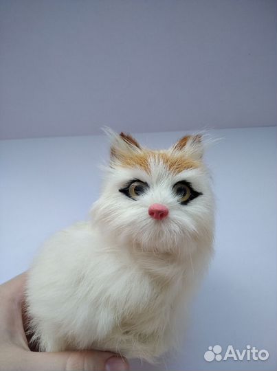 Котенок сидящий