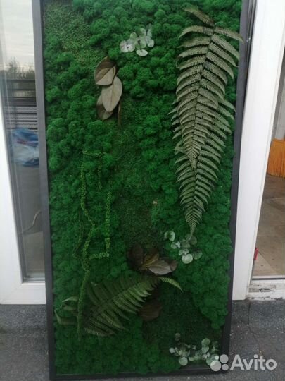 Картина из стабилизированного мха