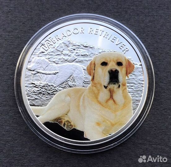 Серебро лабрадор в футляре с сертификатом