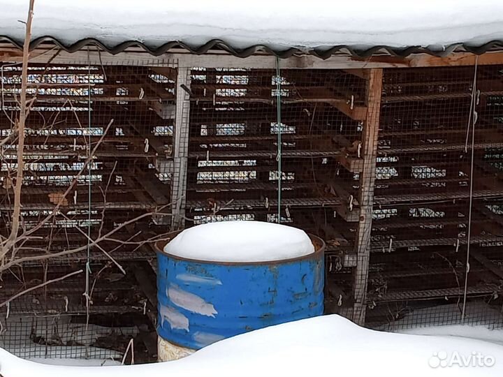 Клетки для перевозки кур