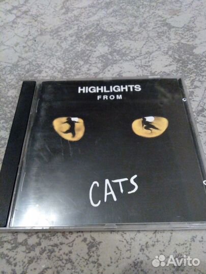 Highlights from Cats